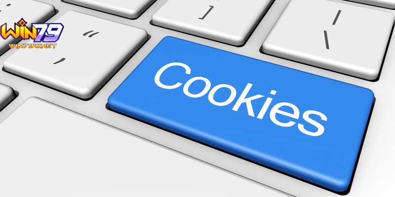 Chính sách bảo mật của sảnh cược về cookies